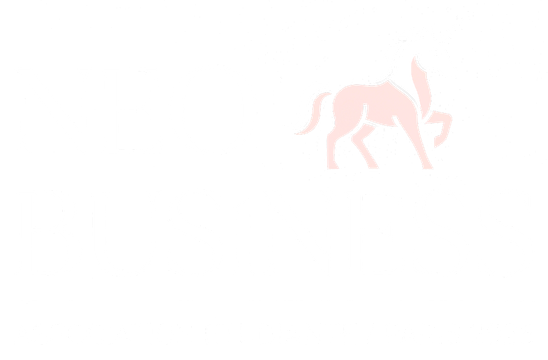 Neo Business